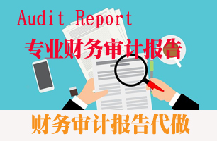武汉财务审计报告代做